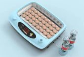 Automatic smart incubator